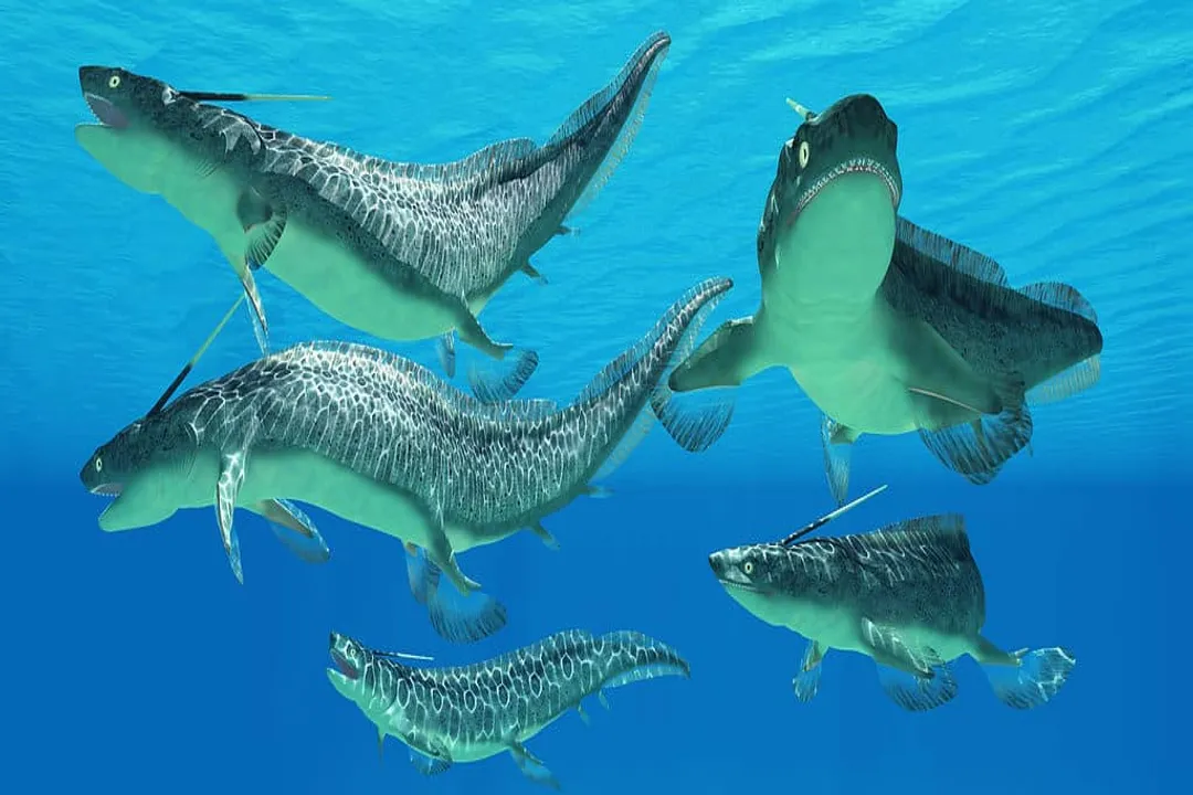Xenacanthus Diet, Ancient Waters