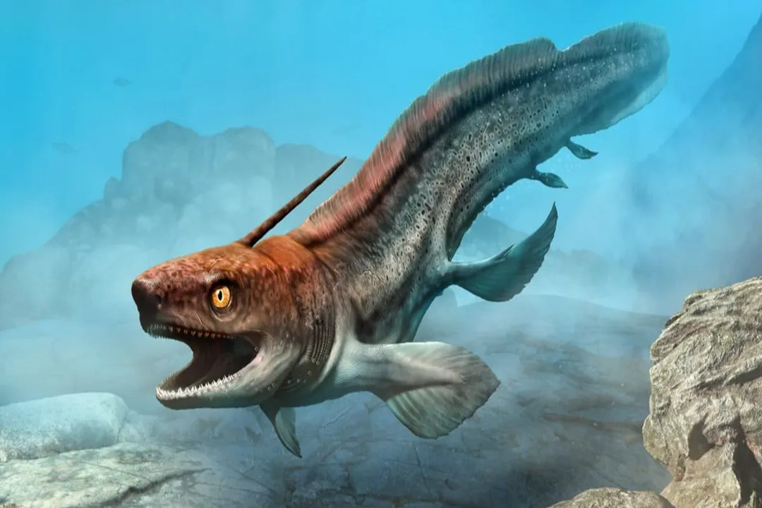 Xenacanthus Diet