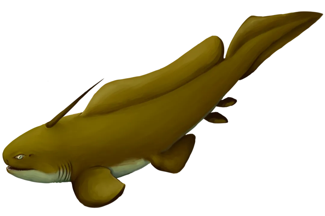 Xenacanthus Scientific Classification