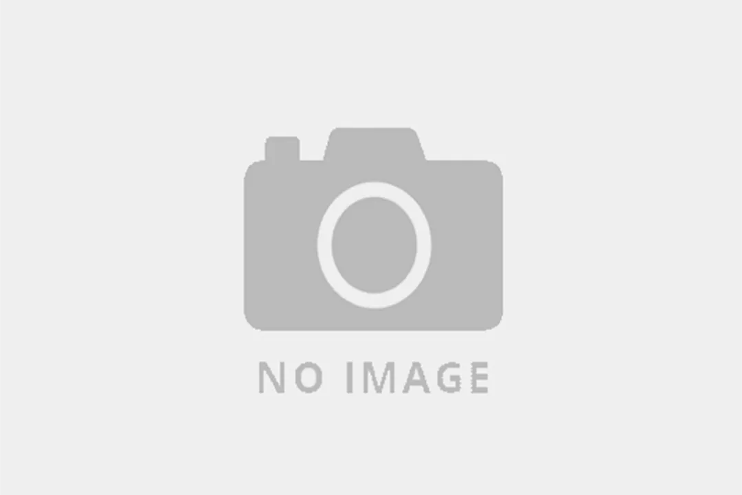 Xenoceratops Diet, Feeding Apparatus