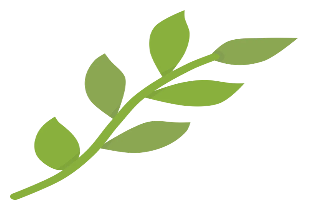 Xenoceratops Diet, Herbivore Status