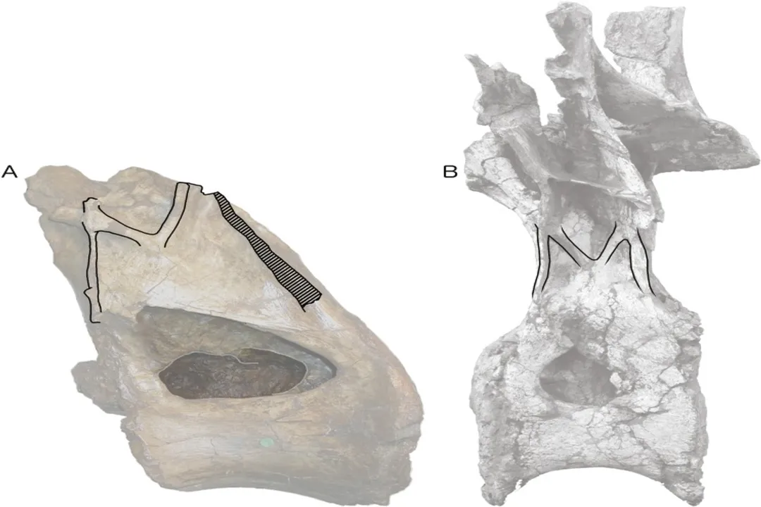 Xenoposeidon Locations, Find Site