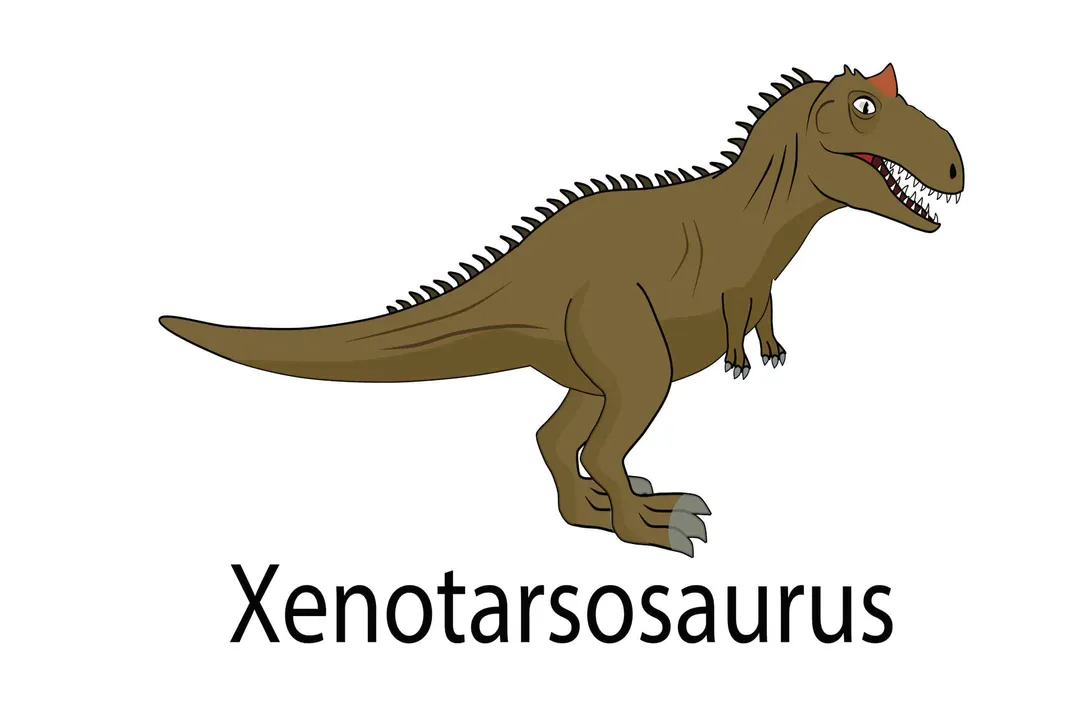 Xenotarsosaurus Physical Characteristics