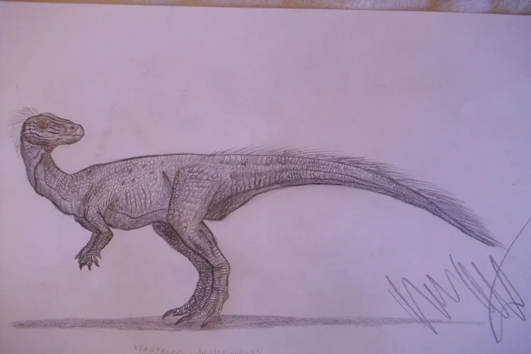 Xiaosaurus Physical Characteristics