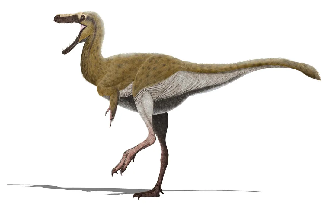 Xiongguanlong Diet