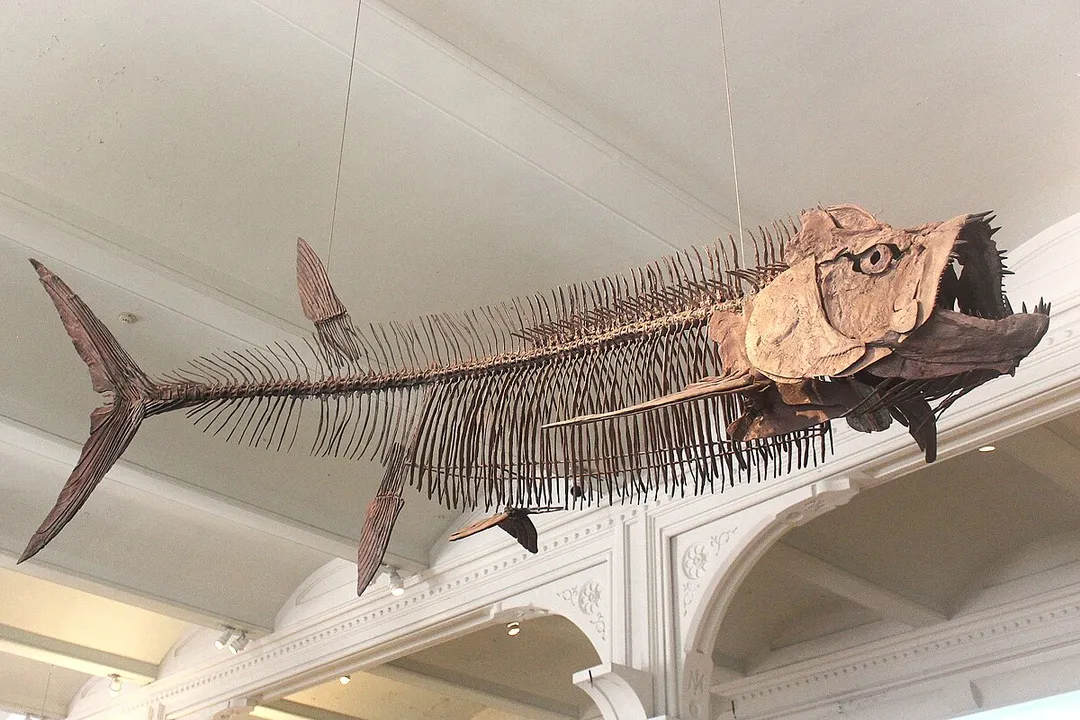 Xiphactinus Diet, Feeding Mechanism