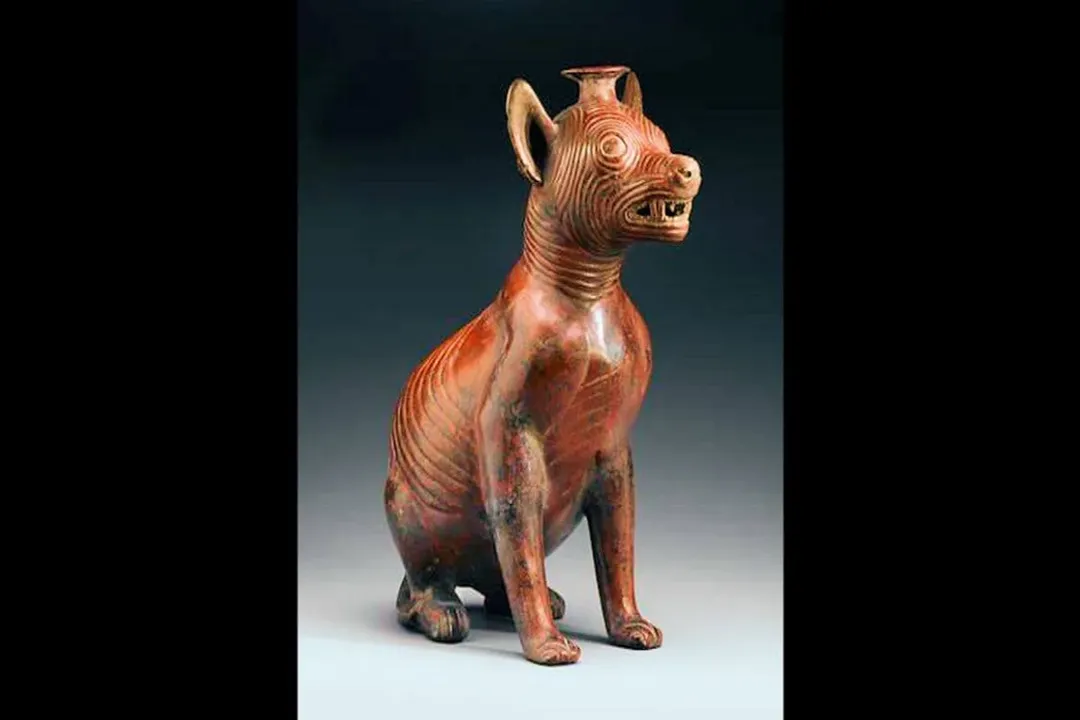 Xoloitzcuintli Evolution, Ancient Origins