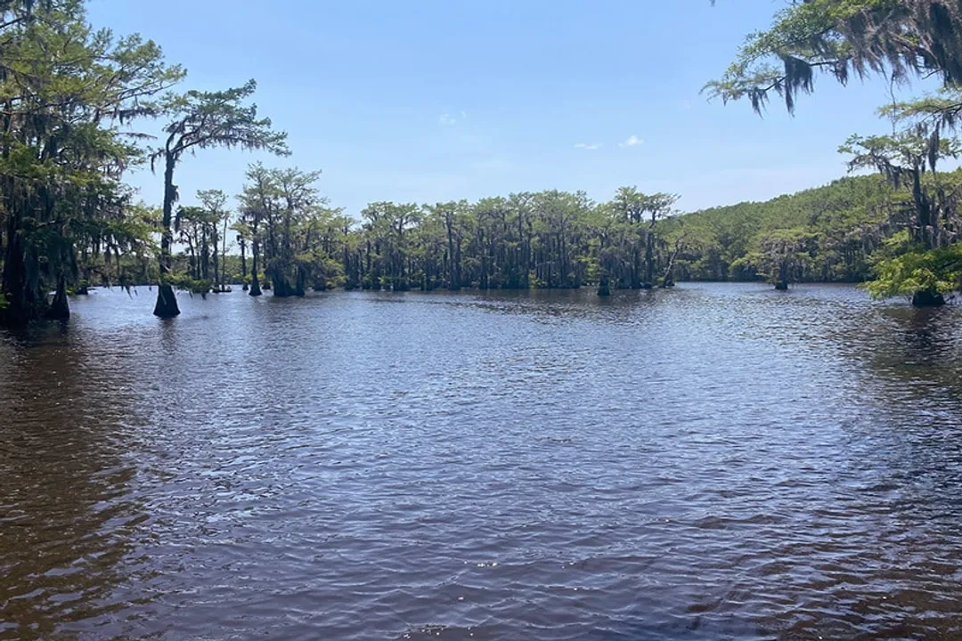 Yellow Bass Locations, Native Territory