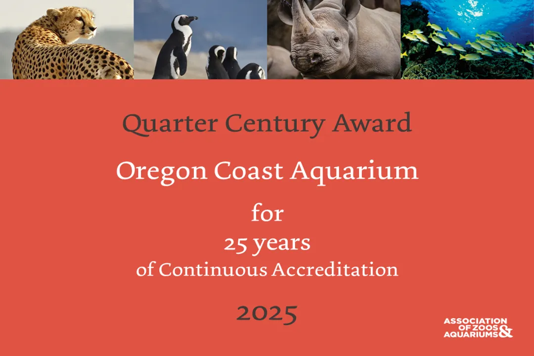 Yellow Tang Locations, Geographic Range