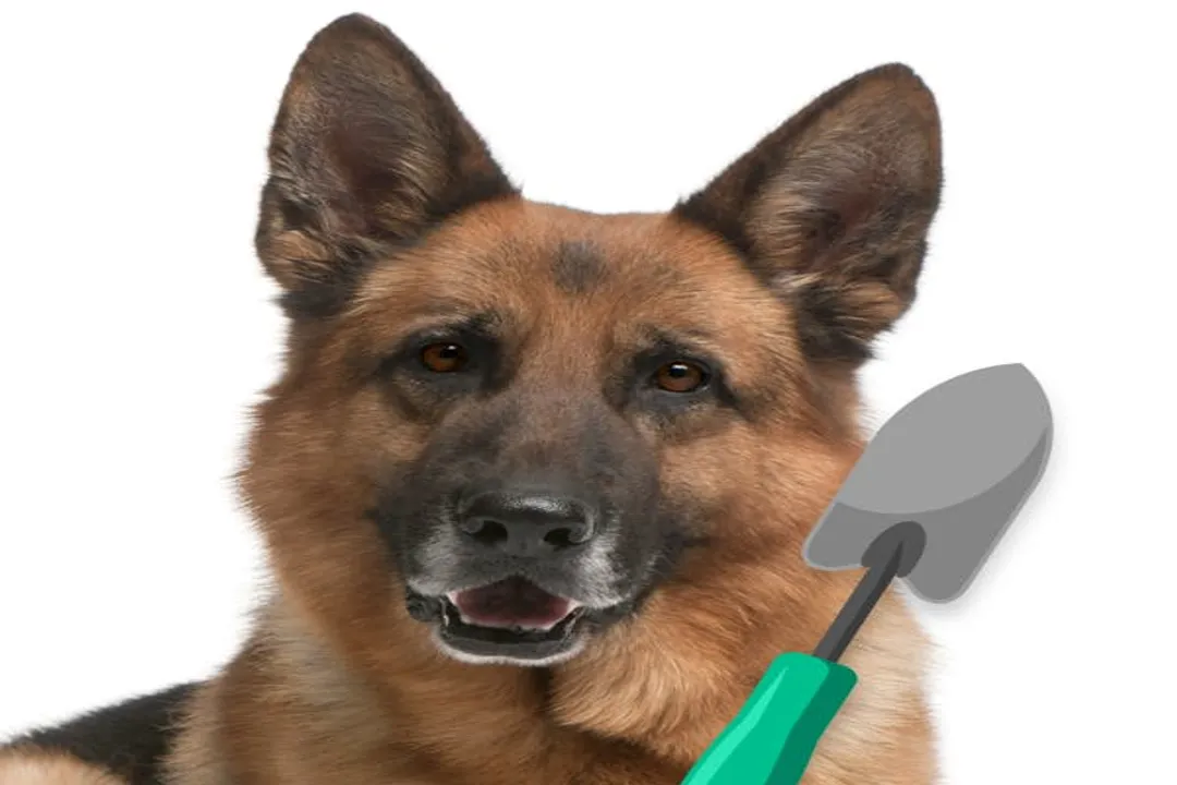 Yoranian Scientific Classification