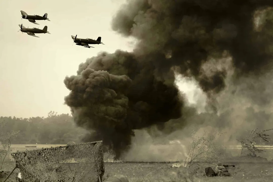 Yorkie Bichon Physical Characteristics, Facial Features