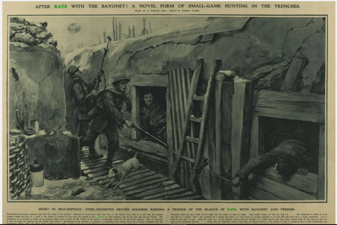 Yorkshire Terrier Evolution, Early Naming Purpose