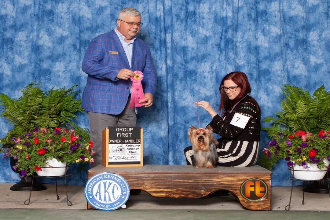 Yorkshire Terrier Locations, Local Keepers