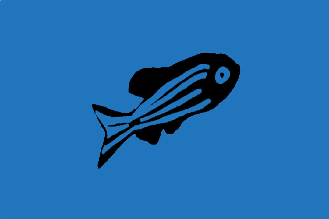 Zebrafish Evolution