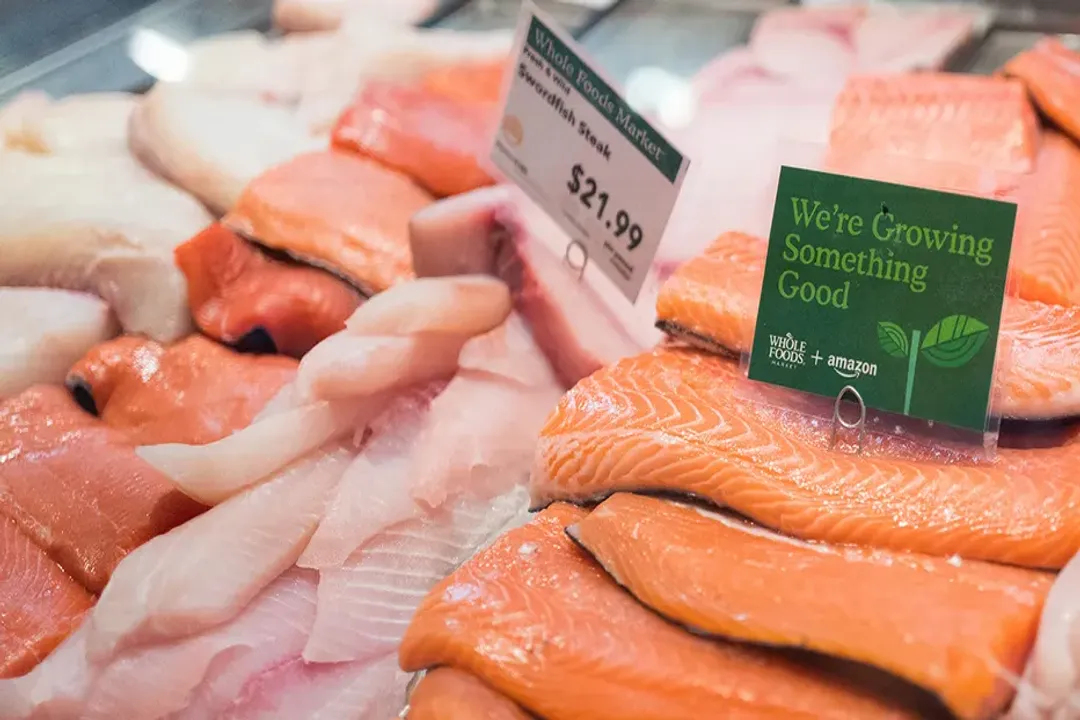 What common adage do fishermen often suggest about larger snapper eating quality?