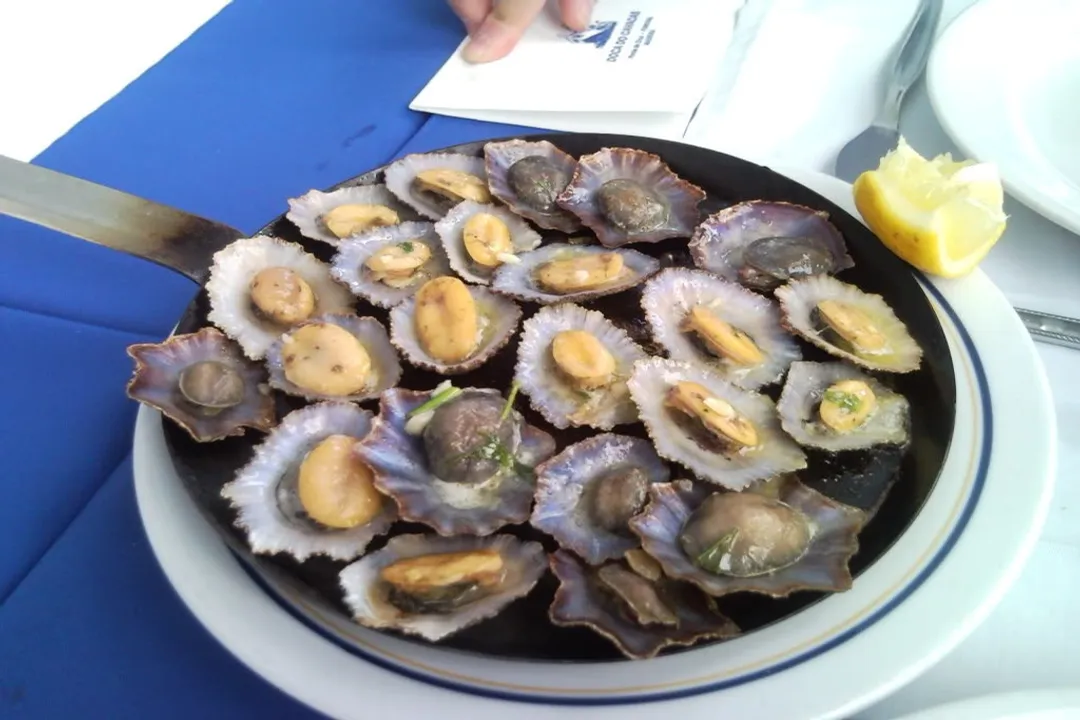 Are grilled limpets good?, Coastal Foraging