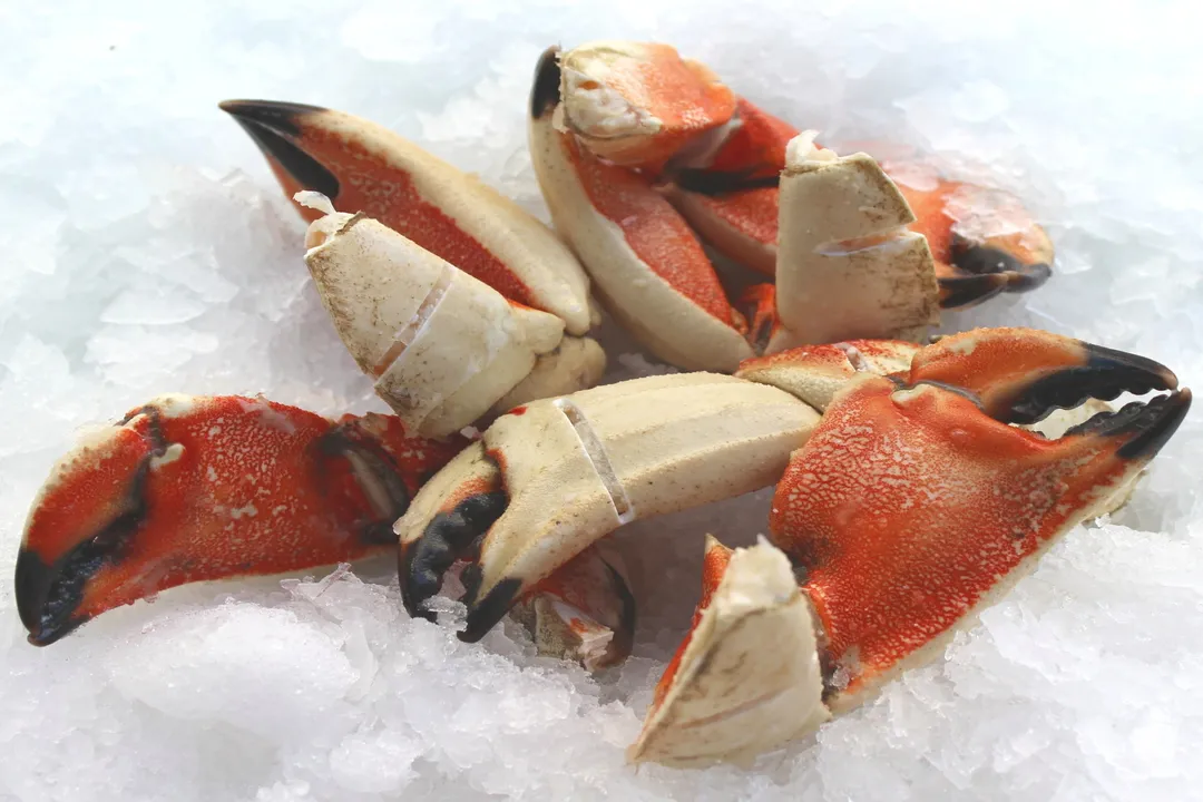 Are Jonah crabs good to eat?, Culinary Appeal