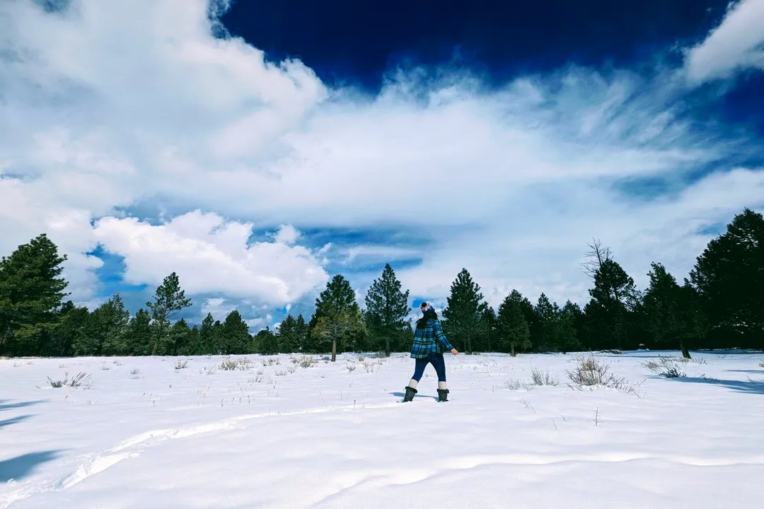 Can I have Bombay mix on keto?, Keto Substitutions