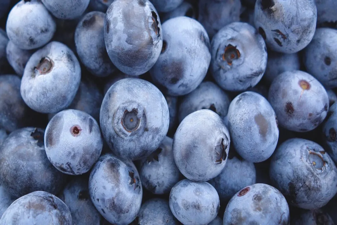 Do blueberries have antinutrients?