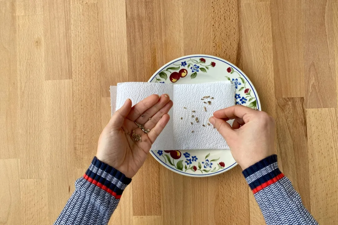 Do you stratify in the freezer or fridge?, Freezer Dynamics