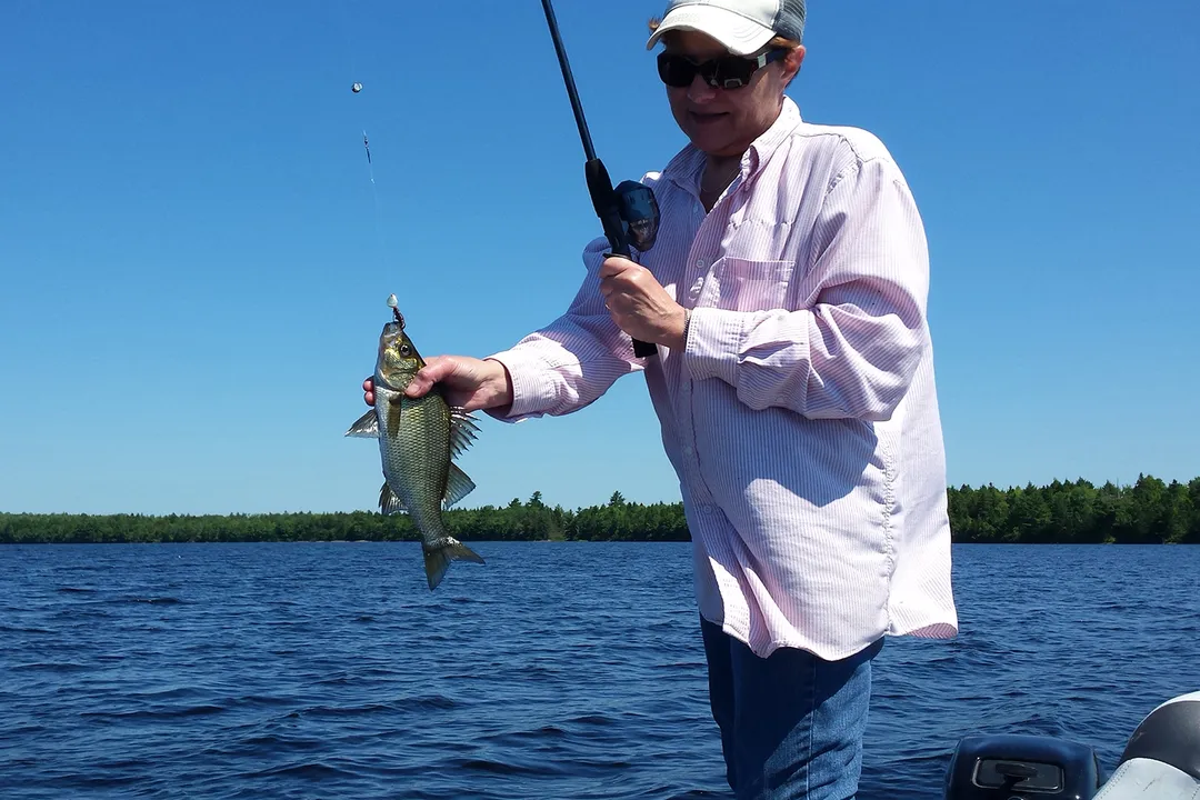 Does ocean perch taste like freshwater perch?, Species Names