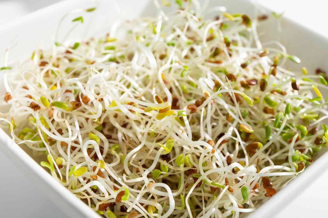 Health Benefits of Alfalfa Sprouts