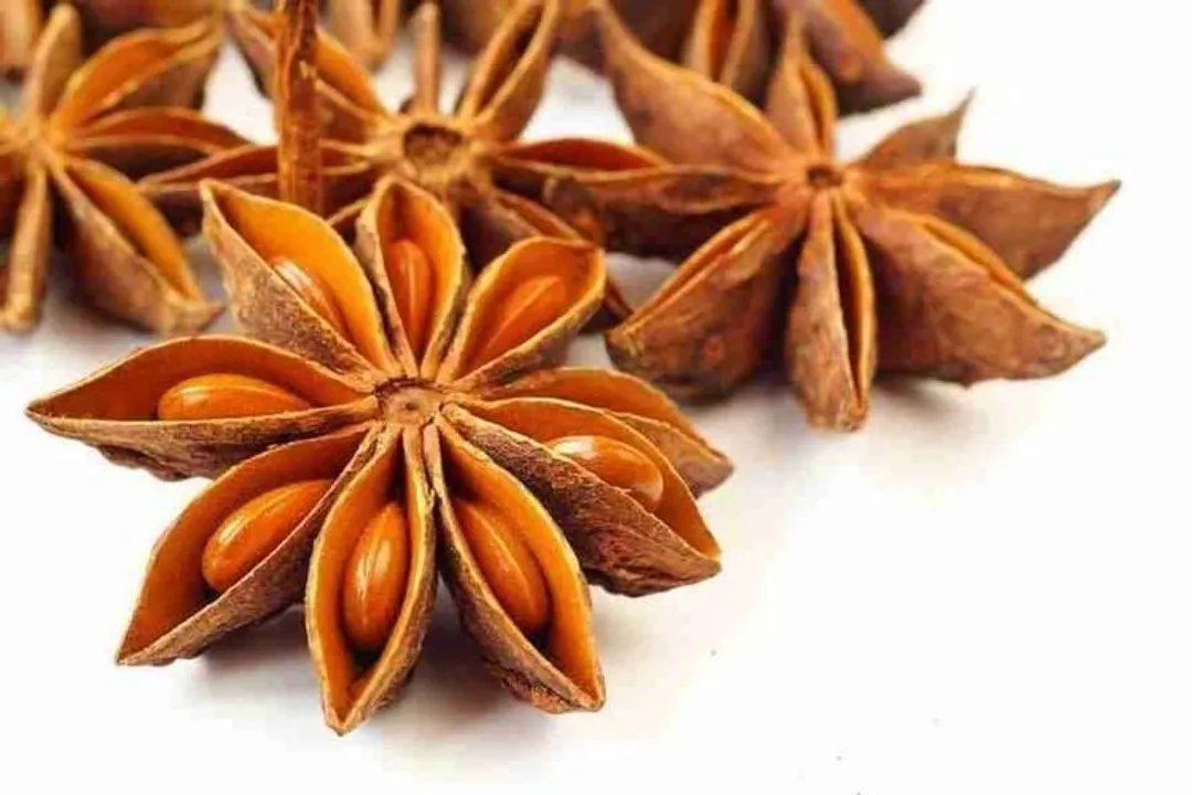 Health Benefits of Anise, Active Components