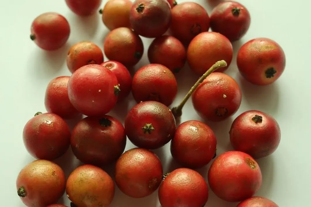 Health Benefits of Aratiles, Traditional Usage