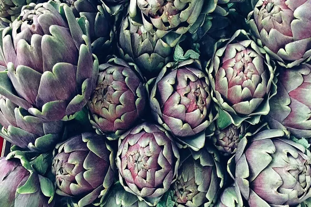 Health Benefits of Artichoke, Nutrient Powerhouse