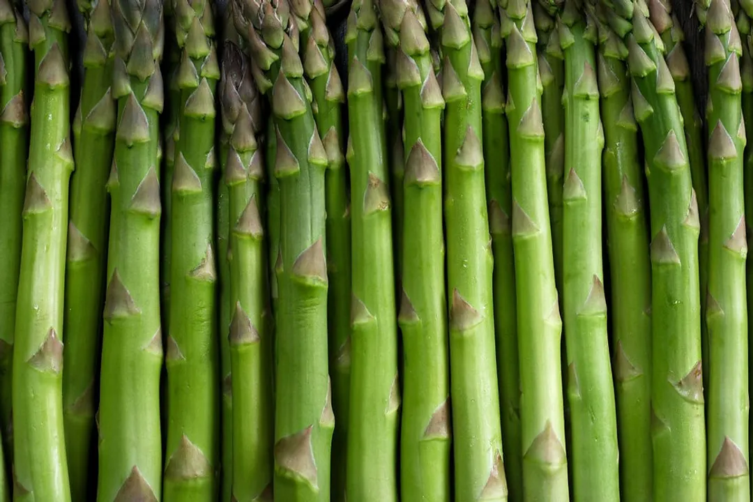 Health Benefits of Asparagus, Digestive Support Fiber