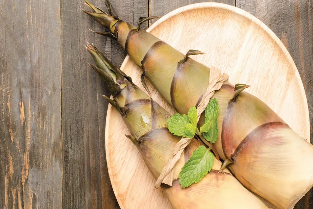 Health Benefits of Bamboo Shoot, Low Calorie Profile