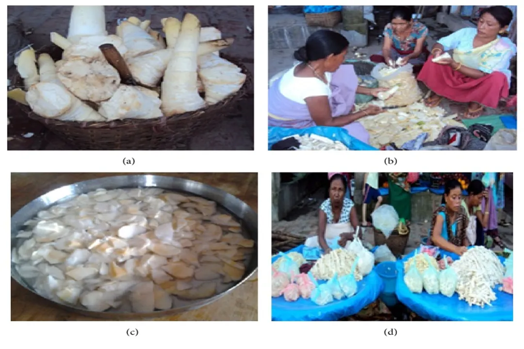 Health Benefits of Bamboo Shoot, Dietary Fiber