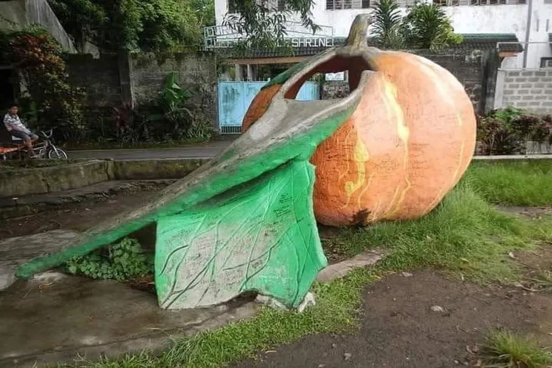 Health Benefits of Banana Squash, Nutritional Powerhouse