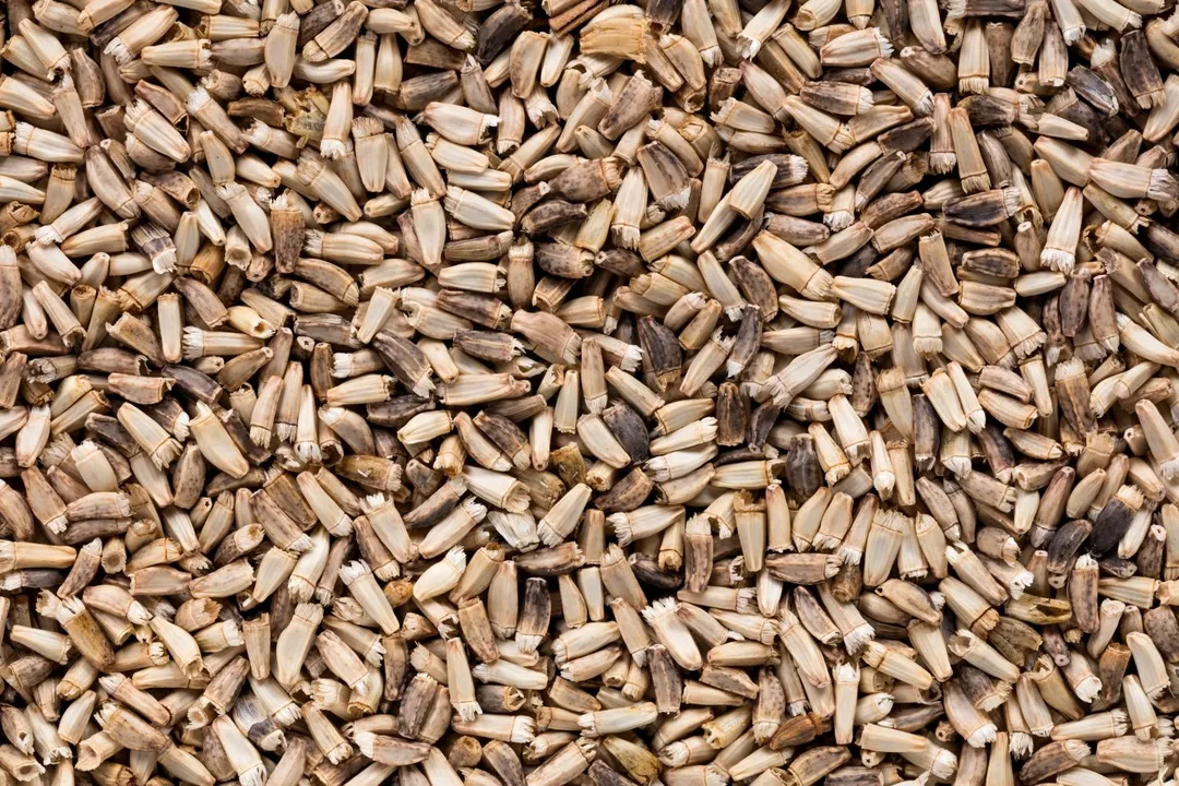 Health Benefits of Belgian Endive, Cardiovascular Health