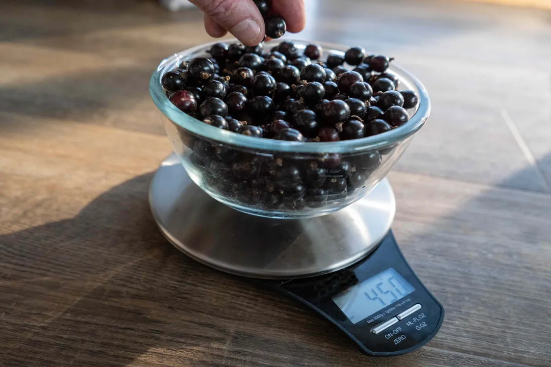 Health Benefits of Blackcurrant, Nutrient Density