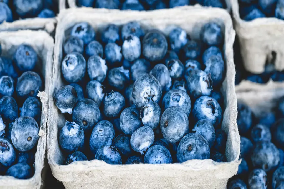 Health Benefits of Blueberry