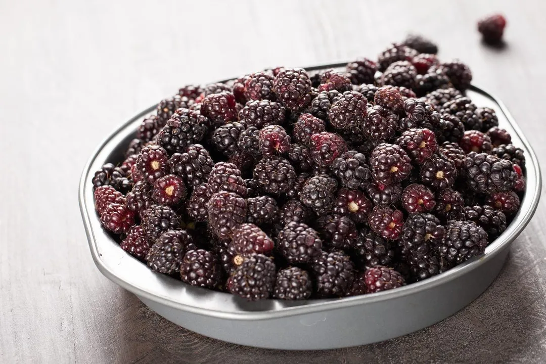 Health Benefits of Boysenberry