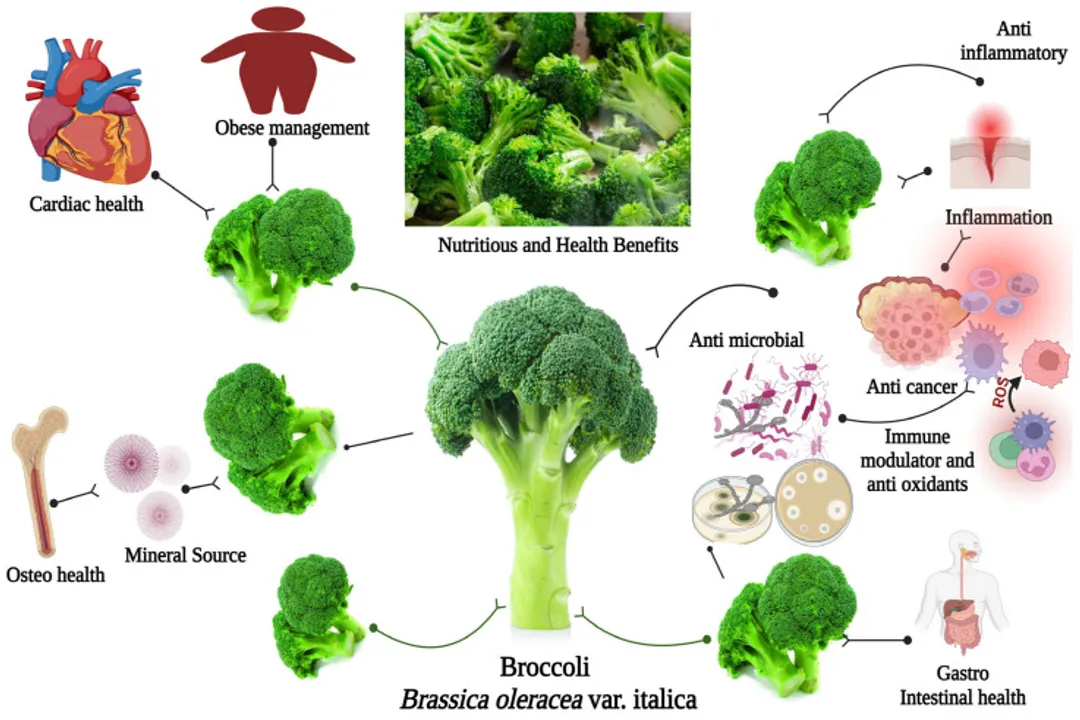 Health Benefits of Broccoflower, Nutritional Density