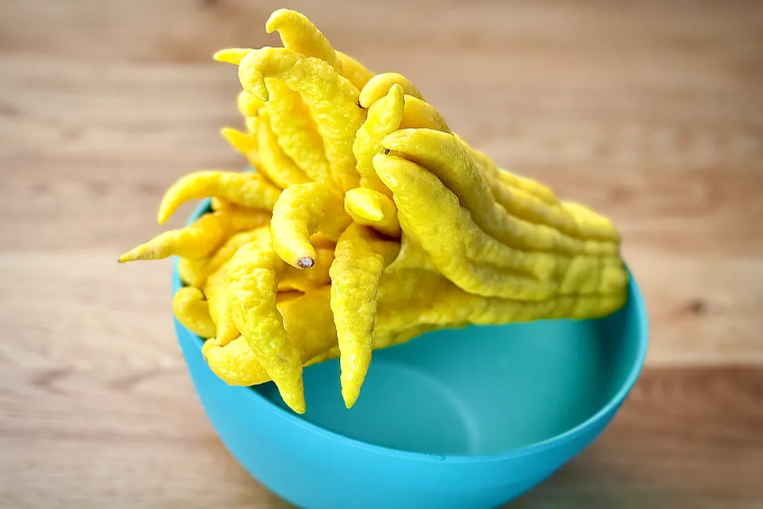 Health Benefits of Buddha's hand (fingered citron), Distinct Nature