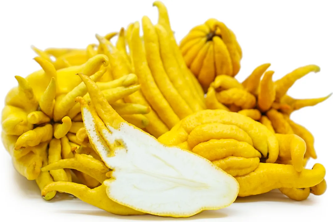 Health Benefits of Buddha's hand (fingered citron), Rich Composition