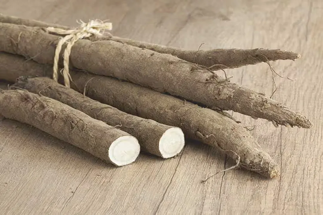 Health Benefits of Burdock Root
