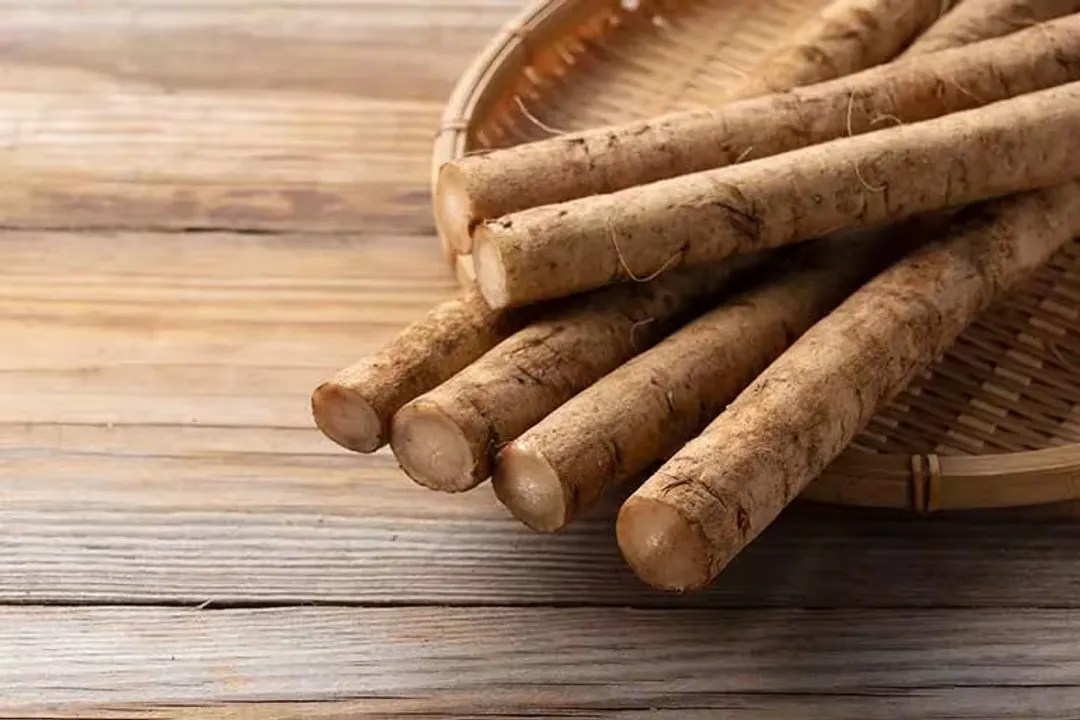 Health Benefits of Burdock Root, Nutritional Makeup