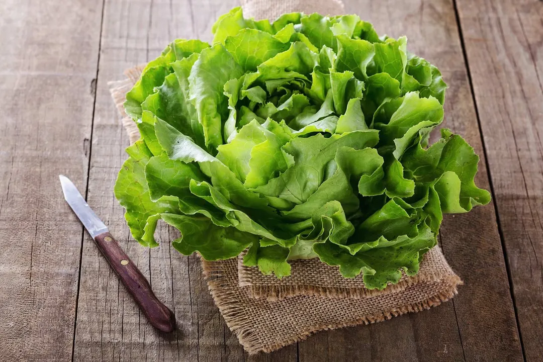 Health Benefits of Butterhead Lettuce