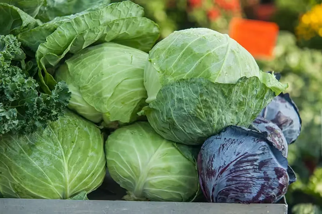 Health Benefits of Cabbage, Heart Benefits