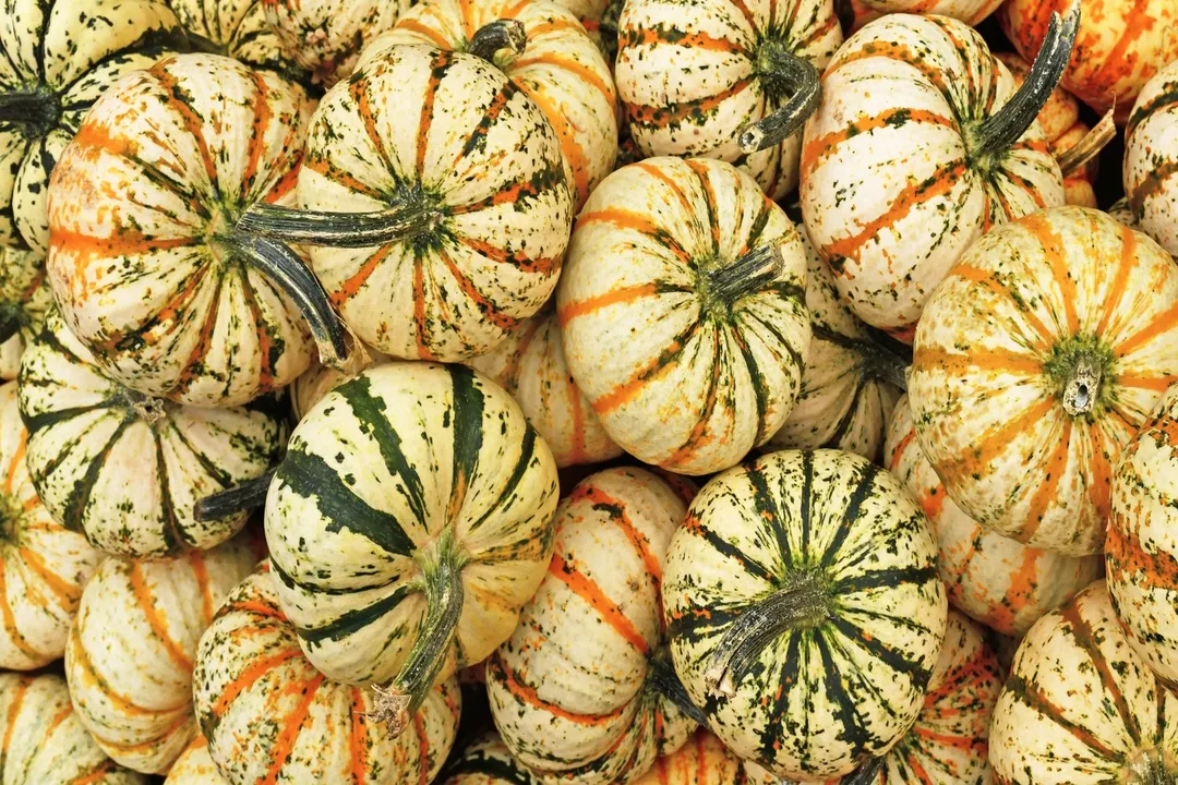 Health Benefits of Carnival Squash