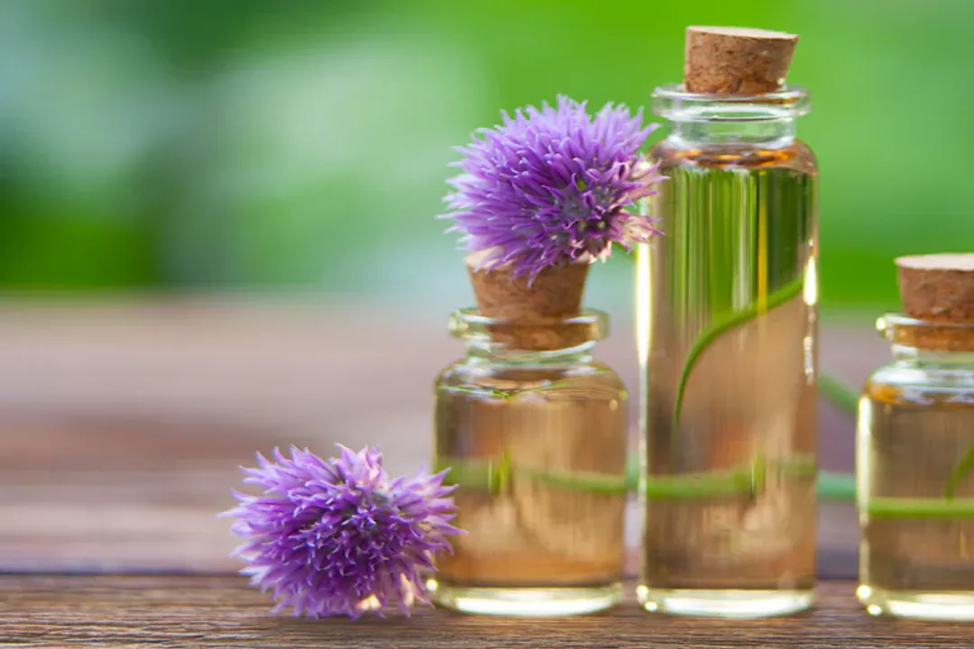 Health Benefits of Chives