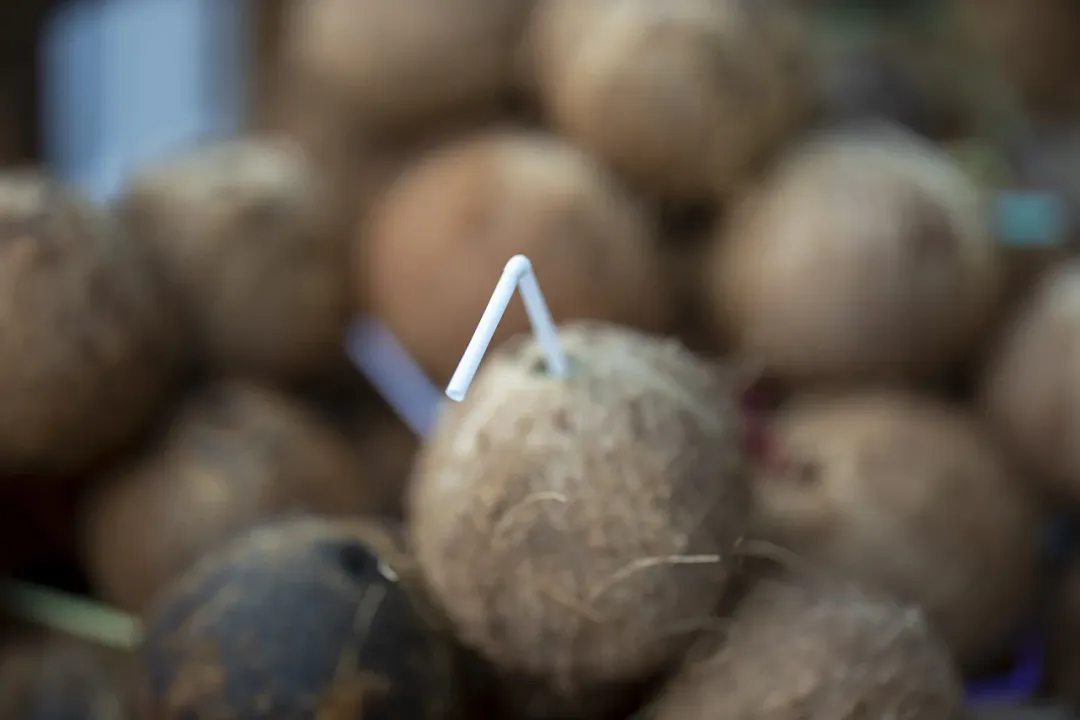 Health Benefits of Coco de mer