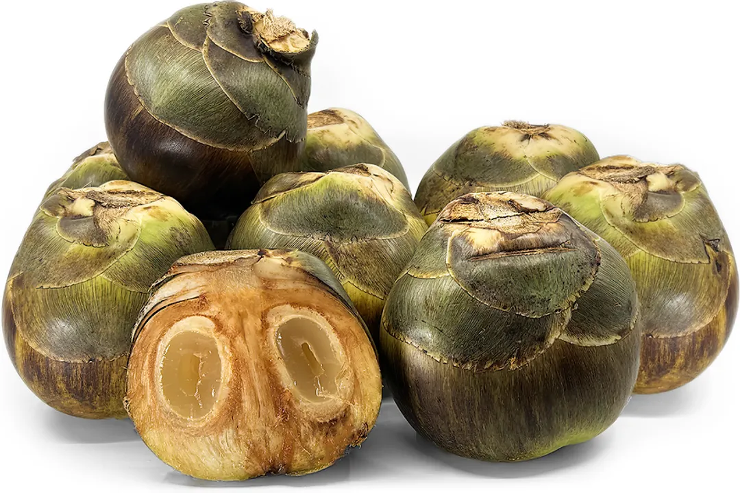 Health Benefits of Coco de mer, Nutritional Profile Highlights