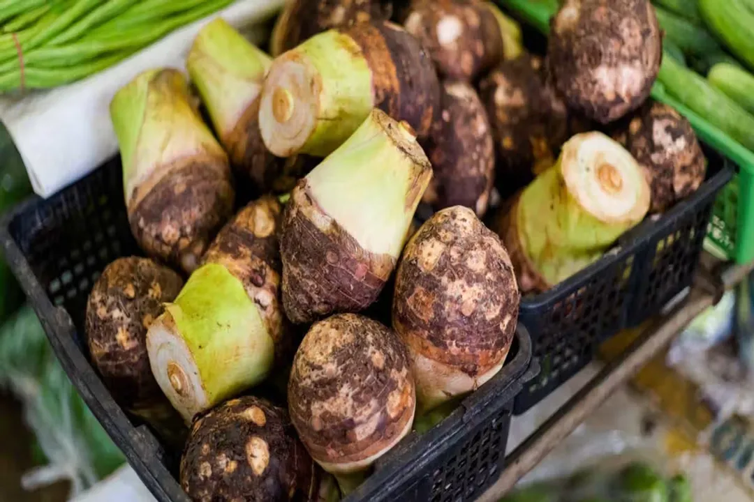 Health Benefits of Corms, Gut Health