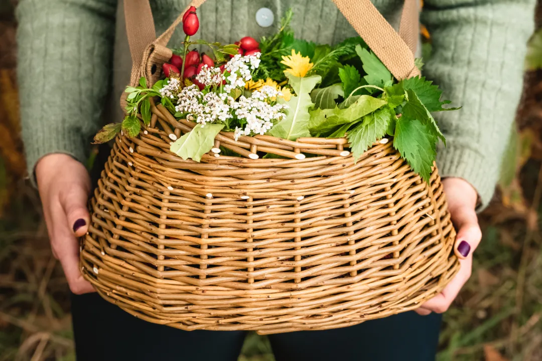 Health Benefits of Crab apple, Fruit Composition